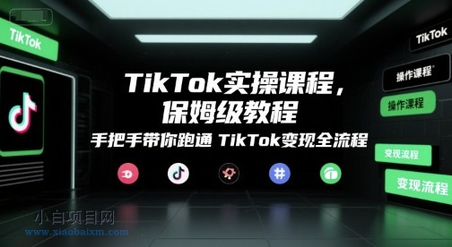 TikTok实操课程，保姆级教程，手把手带你跑通TikTok变现全流程-小白项目分享网