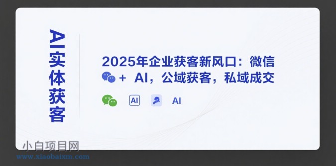 AI实体获客，2025年企业获客新风口：微信+ AI，公域获客，私域成交-小白项目分享网