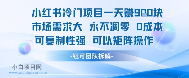 小红书冷门项目一天收益9张，市场需求大，0成本，可复制性强可以矩阵操作-小白项目分享网