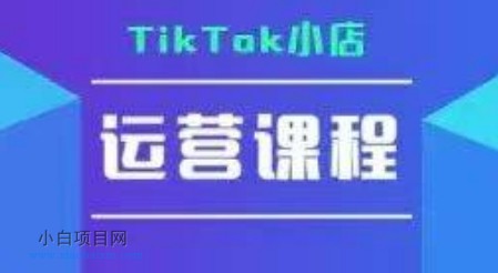 TikTok小店运营实操课，TK​小店运营实操+疑难答疑-小白项目分享网