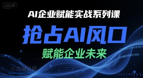 AI企业赋能实战系列课，抢占AI风口，赋能企业未来-小白项目分享网