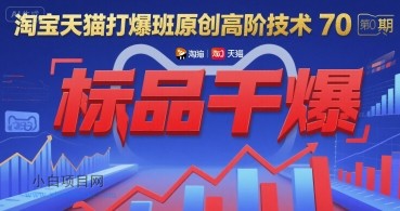 淘宝天猫打爆班原创高阶技术第70期:标品干爆