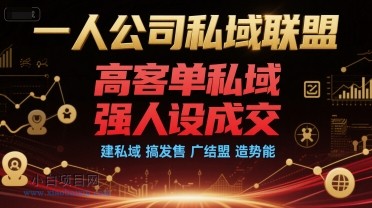 一人公司私域联盟，高客单私域，强人设成交，建私域 搞发售 广结盟 造势能-小白项目分享网