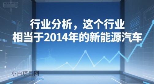 付费文章：行业分析，这个行业，相当于2014年的新能源汽车-小白项目分享网