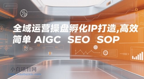 全域运营操盘孵化IP打造，高效 简单 AIGC SEO SOP-小白项目分享网