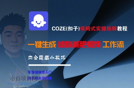 COZE(扣子)保姆式实操拆解教程，一键生成爆款减肥视频工作流，批量产出高质量视频-小白项目分享网