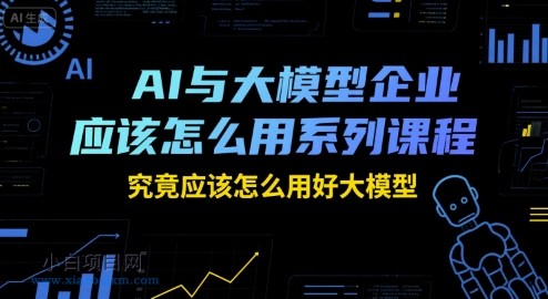 AI与大模型企业应该怎么用系列课程，究竟应该怎么用好大模型-小白项目分享网