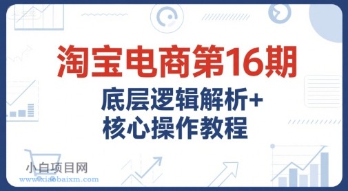 淘宝电商第16期，底层逻辑解析+核心操作教程，运营、推广提升能力的必学课程+配套资料-小白项目分享网
