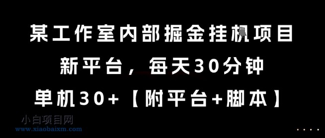 某工作室内部掘金挂G项目，新平台，每天30分钟，单机30+【揭秘】-小白项目分享网