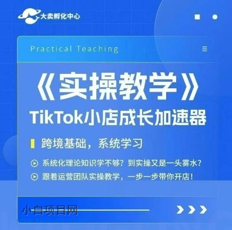 大卖家孵化中心TikTok实操课,TikTok小店成长加速器,跨境基础系统学习,一步一步带你开店