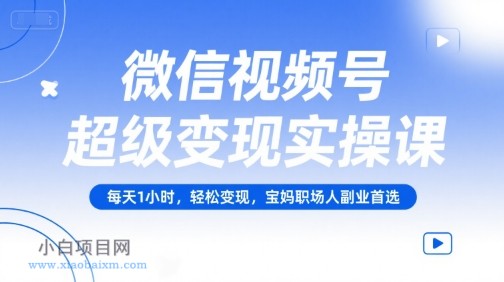 微信视频号超级变现实操课，每天1小时，轻松变现，宝妈职场人副业首选-小白项目分享网