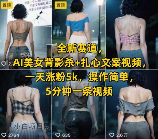 全新赛道，AI美女背影杀+扎心文案视频，一天涨粉5k，操作简单，5分钟一条视频-小白项目分享网