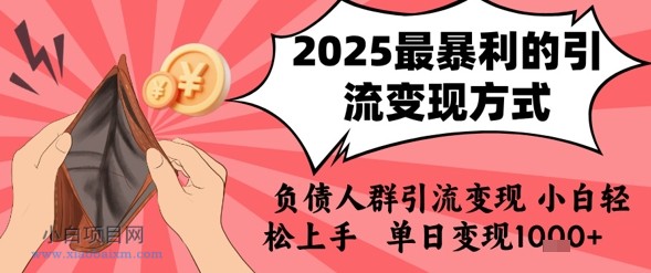 2025年最暴利的引流变现方式，负债人群引流变现，小白轻松上手，日入1k-小白项目分享网