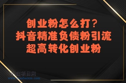 创业粉怎么打？抖音精准负债粉引流，超高转化创业粉-小白项目分享网