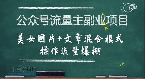 公众号流量主副业项目，美女图片+文章混合模式操作流量爆棚-小白项目分享网