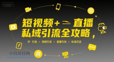 短视频+直播私域引流全攻略，IP打造 +视频引流 +直播引流 +私域沉淀-小白项目分享网