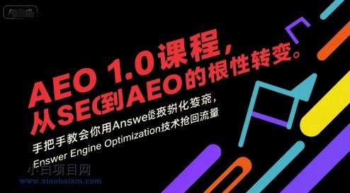 AEO 1.0 课程，从SEO到AE0的基命性转变，手把手教会你用AnswerEngineOptimization技术抢回流量-小白项目分享网