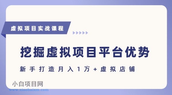 抓住虚拟项目各平台优势，新手轻松月入1W+(给出具体建议)-小白项目分享网