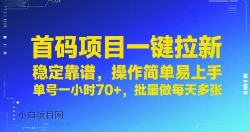首码项目一键拉新，稳定靠谱，操作简单易上手，单号一小时70+，批量做每天多张【揭秘】-小白项目分享网