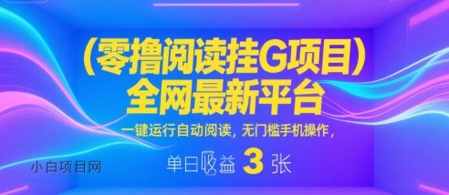 零撸阅读挂G项目，全网最新平台，一键运行自动阅读，无门槛手机操作，单日收益3张【揭秘】-小白项目分享网
