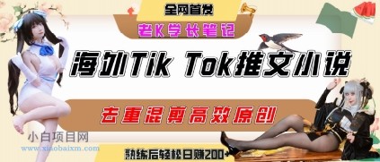 海外tiktok小说推文暴力项目，高停留率，高转化率，上手后一天搞顿饭钱不是问题-小白项目分享网