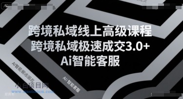 跨境私域线上高级课程,跨境私域极速成交3.0+Ai智能客服