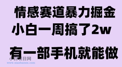 情感暴力掘金项目，新人操作一周挣了2W，长期稳定小白可做【揭秘】-小白项目分享网