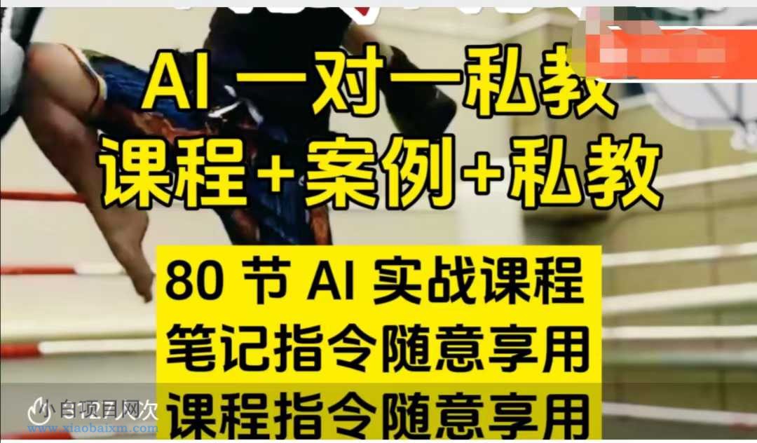 AI指令实战课，课程+案例，80节AI实战课程，笔记指令随意享用，课程指令随意享用（更新7月）-小白项目分享网