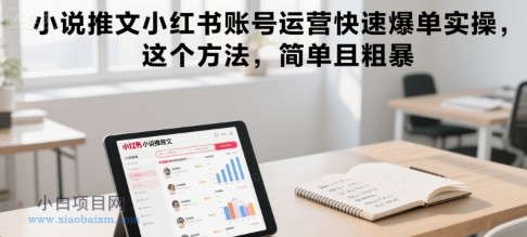 小说推文小红书账号运营快速爆单实操，这个方法，简单且粗暴-小白项目分享网
