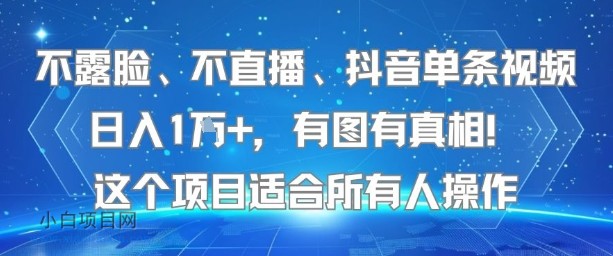 不露脸、不直播、抖音单条视频日入1W+，有图有真相！这个项目适合所有人操作-小白项目分享网