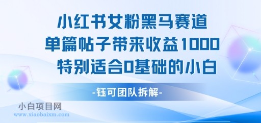 小红书女粉黑马赛道单篇帖子带来收益1k+，特别适合0基础的小白-小白项目分享网