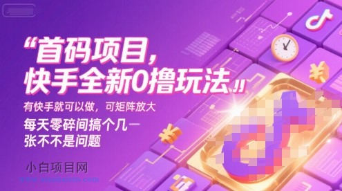首码项目，快手全新0撸玩法，有快手就可以做，可矩阵放大，每天零碎时间搞个几张不是问题【揭秘】-小白项目分享网