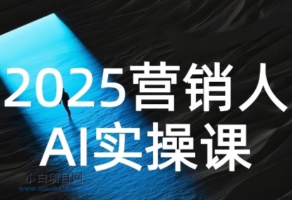2025营销人Al实操课，AI营销抢跑实战，从Prompt到方案，效率碾压同行-小白项目分享网