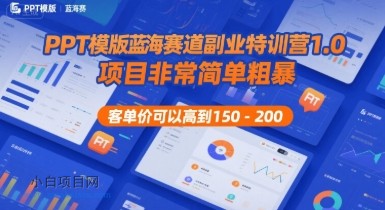 PPT模版蓝海赛道副业特训营1.0，项目非常简单粗暴，客单价可以高到150-200-小白项目分享网