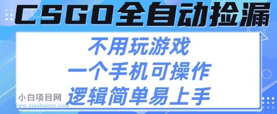 CSGO自动捡漏项目，最新独家玩法，不用挂G不用玩游戏，一个手机即可操作，新手小白轻松月入1W+【揭秘】-小白项目分享网