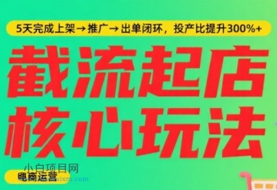 淘宝截流快速起店玩法，掌握暴力快速起店的流程，5天完成上架-推广-出单闭环-小白项目分享网