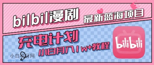 最新蓝海项目，B站充电计划，小白也能月入1w+-小白项目分享网