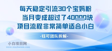 每天稳定引流30个人 当月变成超过了4个W项目流程非常简单适合小白-小白项目分享网