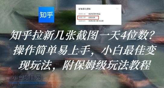 知乎拉新几张截图一天4位数？操作简单易上手，小白最佳变现玩法，附保姆级玩法教程-小白项目分享网