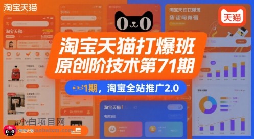 淘宝天猫打爆班原创高阶技术第71期，淘宝全站推广2.0-小白项目分享网