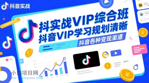 抖音实战VIP综合班，抖音VIP学习规划请晰抖音各种变现渠道-小白项目分享网
