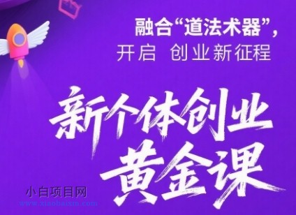 新个体创业黄金课:道法术器四维抢占2025红利