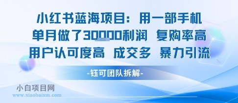 小红书蓝海项目，一部手机单月做了3W利润，小白也能月入过1W用户认可度高成交多-小白项目分享网
