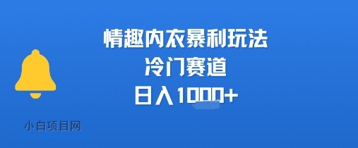 情趣内衣暴利玩法，冷门赛道，日入1k+-小白项目分享网
