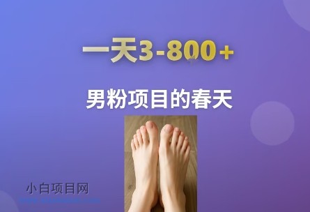 AI一键生成美女素材，一天收益3-8张，男粉项目的春天-小白项目分享网