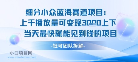 小众蓝海赛道项目：当天变现1k+适合新手操作 +适合长期玩-小白项目分享网