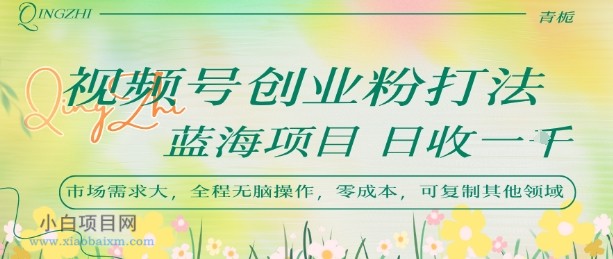 视频号创业粉打法，日入1k，蓝海项目，市场需求大，全程无脑操作，可复制-小白项目分享网
