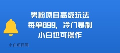 男粉项目高级玩法，每单899，冷门暴利，小白也可操作-小白项目分享网