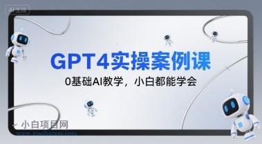 GPT4实操案例课，0基础AI教学，小白都能学会-小白项目分享网