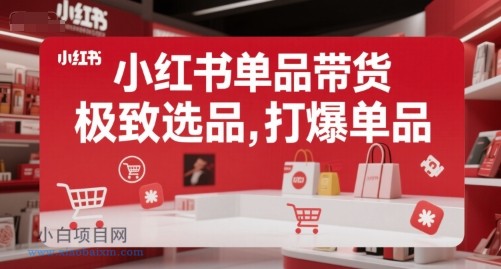 小红书单品带货,极致选品,打爆单品(更新)